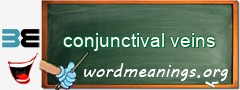 WordMeaning blackboard for conjunctival veins